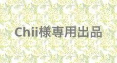 ㉗Chii様専用出品