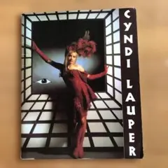 k*a様 希少・絶版トゥルー・カラーズ/ シンディ・ローパー自伝 注 洋書