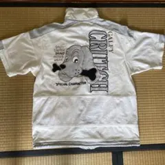 Item thumbnail for item 3c92384a-4d2f-42fc-a504-8828e2113fc8