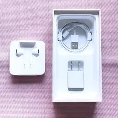 Apple純正 イヤホン & アダプター & Lightningケーブル セット