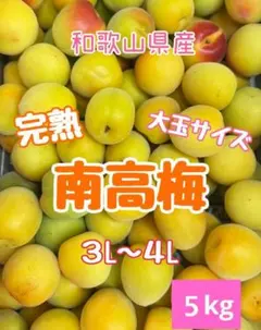 和歌山県紀南産 完熟南高梅5㎏ 秀品 3L〜4L - メルカリ