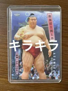 Item thumbnail for item 031960a5-b80f-4ac1-85e1-a030379cf271