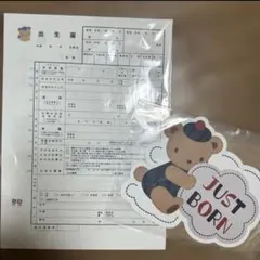 Pipipi様専用です！