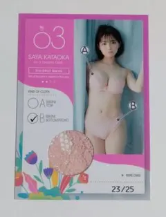中島史恵 vol.2 トレカ ピンスポビキニカード 14 B HIT'S ヒッツ
