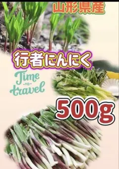 ４月23日常温発送　道北産　朝採り天然行者ニンニク　3000g 4月23日常温発送 道北産 朝採り天然行者ニンニク 3000g - メルカリ