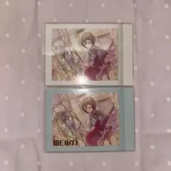 MEIKO ぱしゃこれ 2枚セット