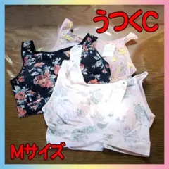 Item thumbnail for item d3944509-7e54-4243-b7a4-ed7c401d10ac