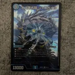 シャコガイル