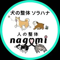 アイロンプリント確認用