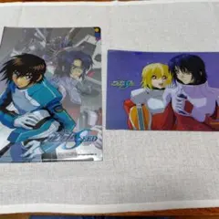 遊戯王】野坂ミホ＆真崎杏子 東映版 トレーディングコレクション 水着