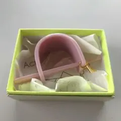 sAn Acrylic accessories サン サジェステ large