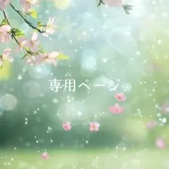 Ami様専用 ラビットヘアルチルクォーツ 天然石ブレスレット