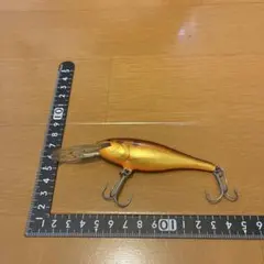 Item thumbnail for item 4111dc04-758f-486a-9831-65a7f892debb