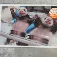 Item thumbnail for item 03591fed-0a55-4629-8aa9-b8aa0d6b0654