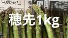 アスパラガス5年目 根株(5年ものの根株は流通少なく希少価値があると思います ) アスパラガス5年目 根株(5年ものの根株は流通少なく希少価値があると