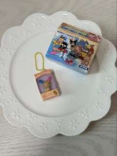 サンリオ チョコボックス 〖 ウサハナ 〗