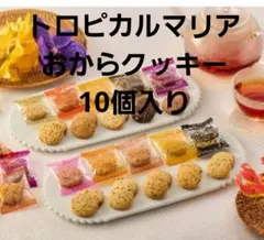 2026年最新】トロピカルマリアおからの人気アイテム - メルカリ
