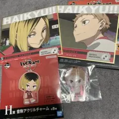 一番くじ 劇場版ハイキュー!! ゴミ捨て場の決戦２　 F賞　H賞