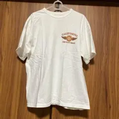 THE FLATHEAD THCシリーズ　size42