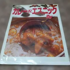 カレー＆エスニック レシピ本 Rayレシピノート