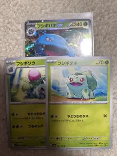 フシギバナEX ＋おまけ