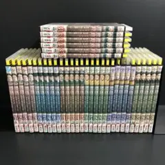 中国ドラマ DVD 瓔珞 エイラク ～紫禁城に燃ゆる逆襲の王妃～ 全36巻