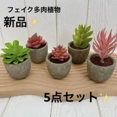 2025年最新】多肉植物ミニ植木鉢の人気アイテム - メルカリ