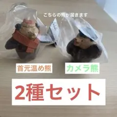 たかはたまさお　木彫り風　熊　カメラ熊　首元温め熊　ガチャ