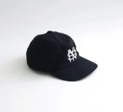 COMESANDGOES NYS CAPのサムネイル