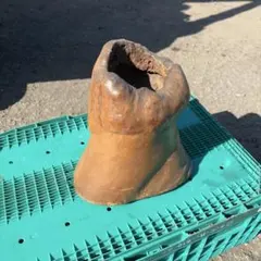 Item thumbnail for item ac456ba6-cb27-4e72-91a7-c3fb746d3609