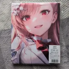 Item thumbnail for item 801d60d9-822a-49ba-8796-598b9dff0bcc