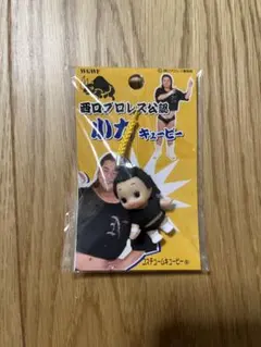 Item thumbnail for item c0061f13-e066-4a08-b81a-31c5972a7c30