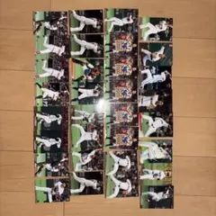 プロ野球チップスカード2017〜2019巨人