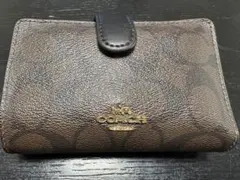 Item thumbnail for item b58c21d3-0a54-47cb-97f2-159974a46a09