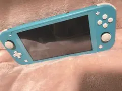 Switchライト 本体のみ