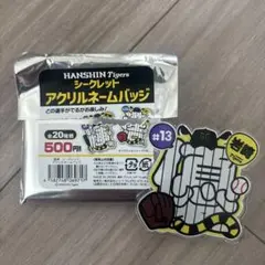 阪神タイガース　アクリルネームバッジ　岩崎優