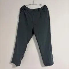 日本未入荷　ノースフェイス　メンズ　トレッキングパンツ　ストレッチ　グレー　M