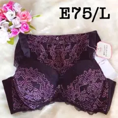 E75/L◆トリンプ プレミアム TR0103◆ブラ＆ショーツ◆ブラック