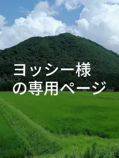 ヨッシー様の専用ページ
