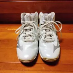 ミズノウエーブダイバース　20周年限定モデル ホワイト×シルバー　23.5