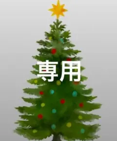 専用のお品物となります　りんご他