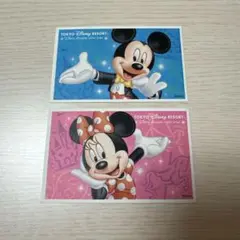 【使用済み】ディズニーランド ディズニーシー チケット 入場券 ミッキー ミニー