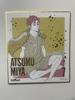 ハイキュー 宮侑 色紙