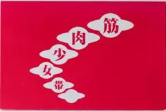 す*ん様 筋肉少女帯 橘高文彦 本城聡章 ピック・チェキ・サイン入りグッズセット 2026年最新】筋肉少女帯 ピックの人気アイテム - メルカリ