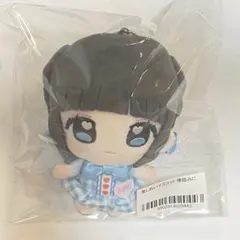iLIFE! 虹羽みに 推しぬいマスコット ぬいぐるみ 武道館 グッズ - メルカリ