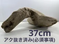 Item thumbnail for item 71591423-bee1-43bb-8bcb-75b71e5f9c5a