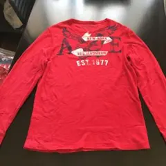 アメリカンイーグルアウトフィッターズ　ロンT