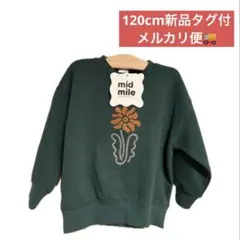 Item thumbnail for item 3a3811d5-ef42-4f4a-998b-2b76a90d98ee