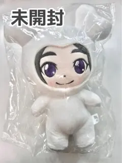 2019 TWICELIGHTS ぬいぐるみ ワルツ ダヒョン ダブリー