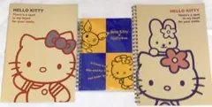 ハローキティ けんけつちゃん リングノート 미개봉 おまけ ノート2冊 付き